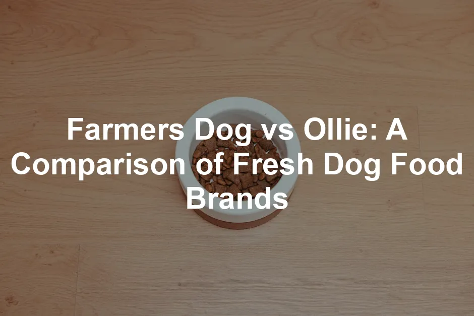 Featured image for Farmers Dog vs Ollie: A Comparison of Fresh Dog Food Brands