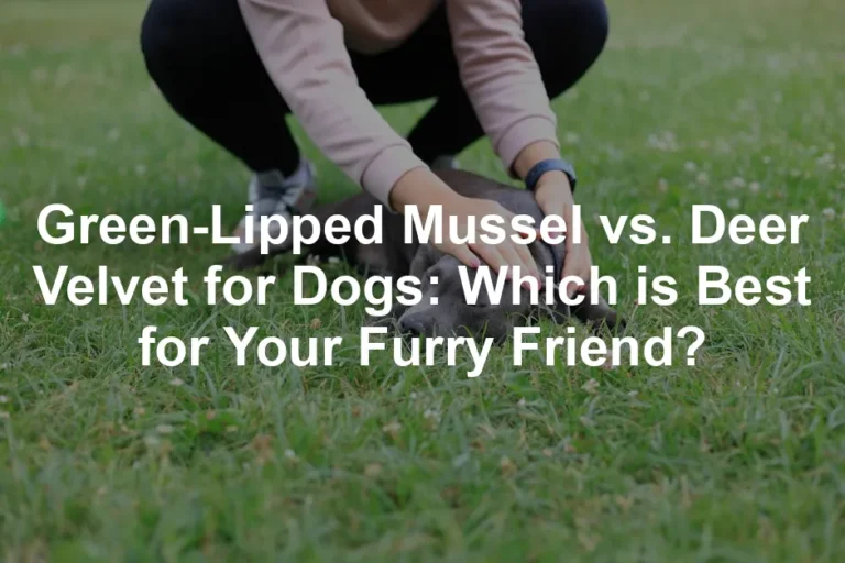 Featured image for Green-Lipped Mussel vs. Deer Velvet for Dogs: Which is Best for Your Furry Friend?