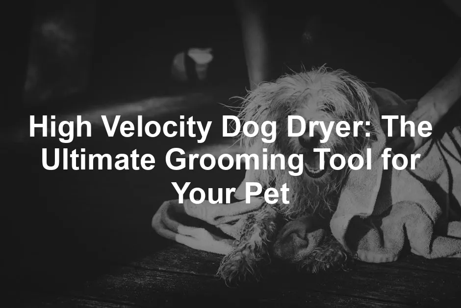 Featured image for High Velocity Dog Dryer: The Ultimate Grooming Tool for Your Pet