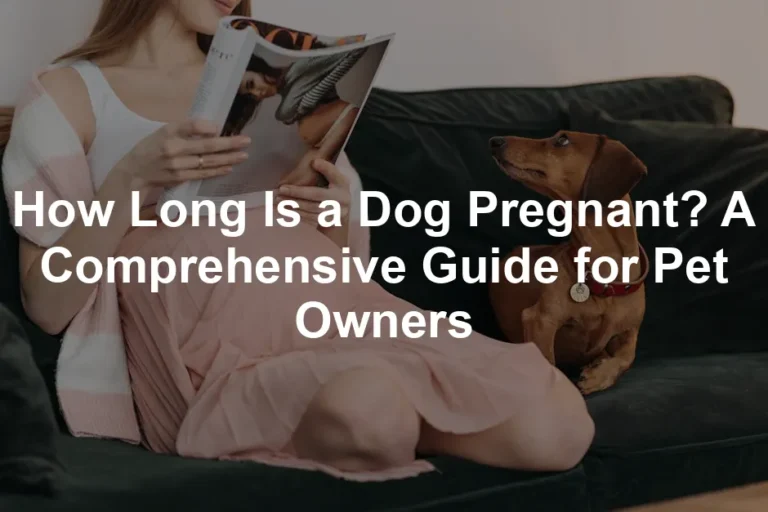 Featured image for How Long Is a Dog Pregnant? A Comprehensive Guide for Pet Owners