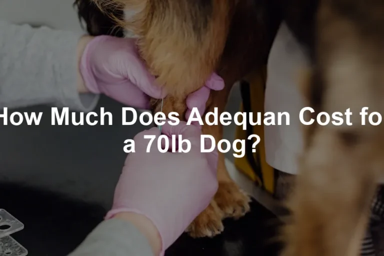 Featured image for How Much Does Adequan Cost for a 70lb Dog?