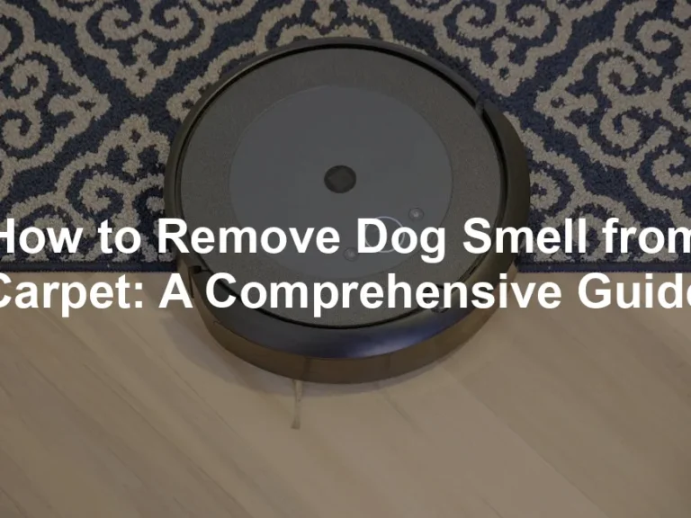 Featured image for How to Remove Dog Smell from Carpet: A Comprehensive Guide