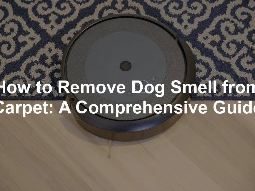 Featured image for How to Remove Dog Smell from Carpet: A Comprehensive Guide