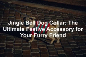 Featured image for Jingle Bell Dog Collar: The Ultimate Festive Accessory for Your Furry Friend