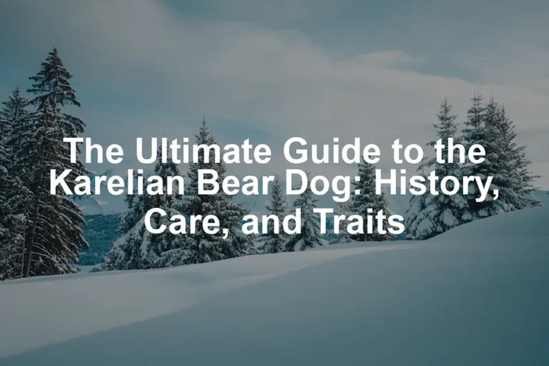 Featured image for The Ultimate Guide to the Karelian Bear Dog: History, Care, and Traits