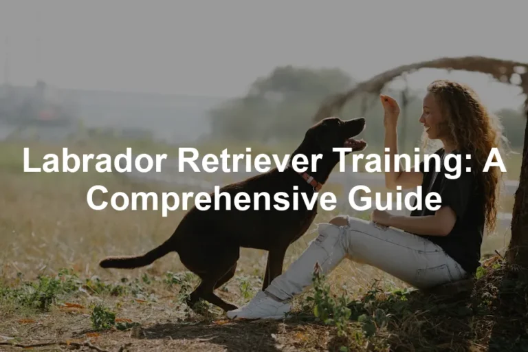 Featured image for Labrador Retriever Training: A Comprehensive Guide