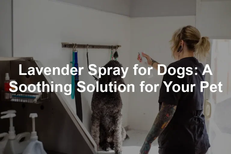 Featured image for Lavender Spray for Dogs: A Soothing Solution for Your Pet