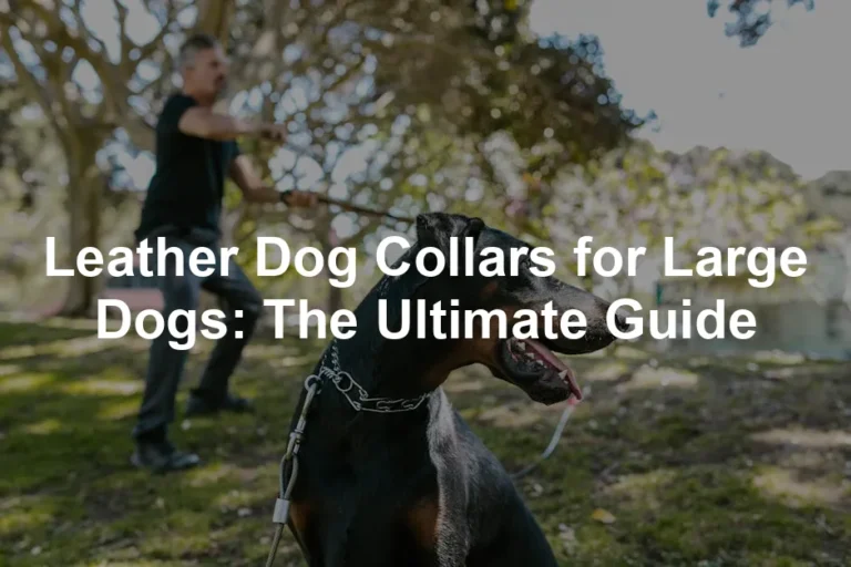Featured image for Leather Dog Collars for Large Dogs: The Ultimate Guide