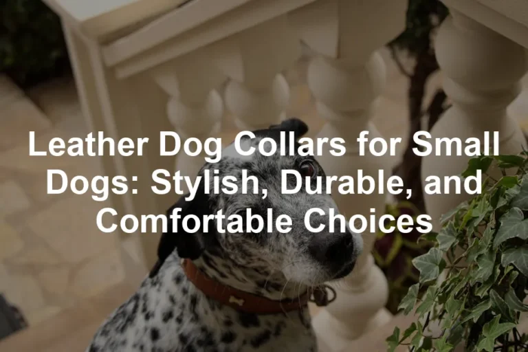 Featured image for Leather Dog Collars for Small Dogs: Stylish, Durable, and Comfortable Choices