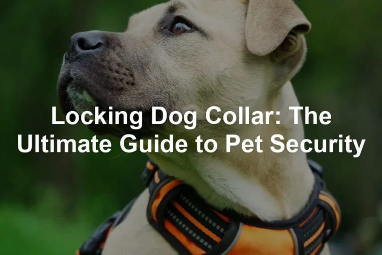 Featured image for Locking Dog Collar: The Ultimate Guide to Pet Security