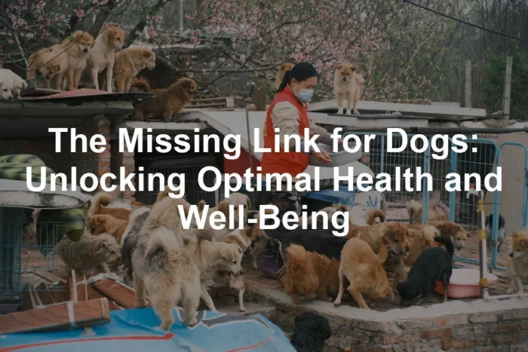 Featured image for The Missing Link for Dogs: Unlocking Optimal Health and Well-Being