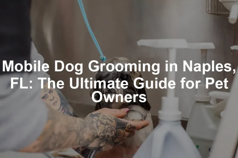 Featured image for Mobile Dog Grooming in Naples, FL: The Ultimate Guide for Pet Owners