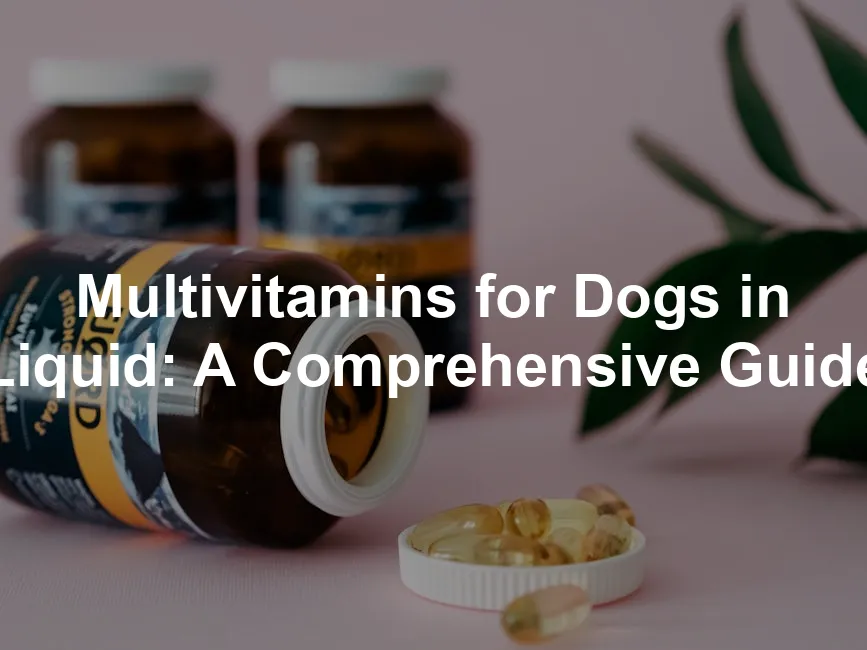 Featured image for Multivitamins for Dogs in Liquid: A Comprehensive Guide