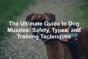 Featured image for The Ultimate Guide to Dog Muzzles: Safety, Types, and Training Techniques