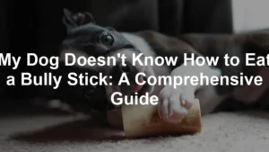 Featured image for My Dog Doesn't Know How to Eat a Bully Stick: A Comprehensive Guide