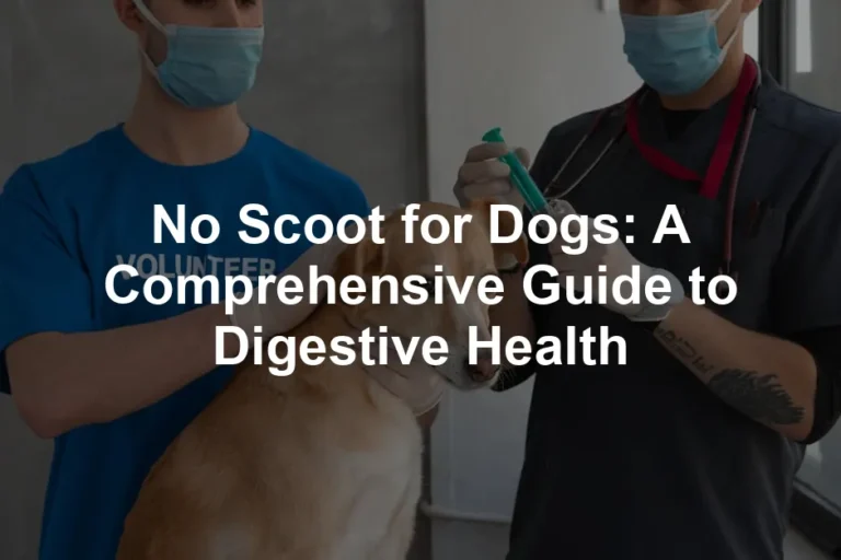 Featured image for No Scoot for Dogs: A Comprehensive Guide to Digestive Health