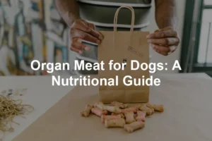 Featured image for Organ Meat for Dogs: A Nutritional Guide