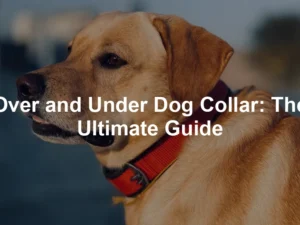 Featured image for Over and Under Dog Collar: The Ultimate Guide