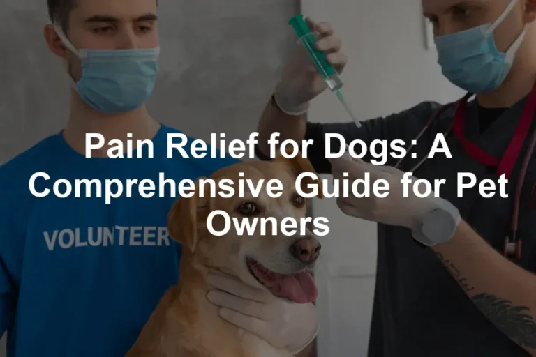 Featured image for Pain Relief for Dogs: A Comprehensive Guide for Pet Owners