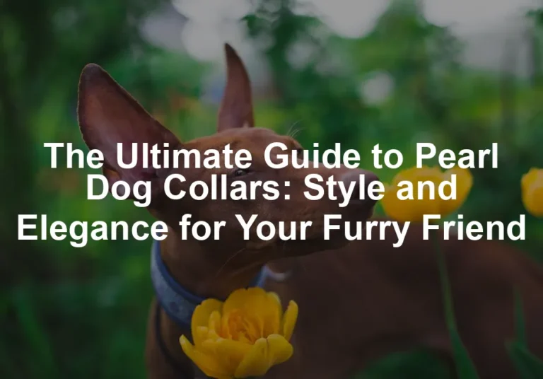 Featured image for The Ultimate Guide to Pearl Dog Collars: Style and Elegance for Your Furry Friend