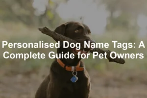 Featured image for Personalised Dog Name Tags: A Complete Guide for Pet Owners