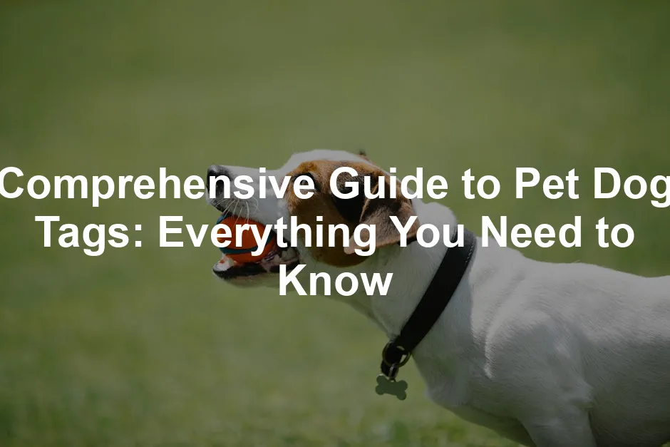 Featured image for Comprehensive Guide to Pet Dog Tags: Everything You Need to Know