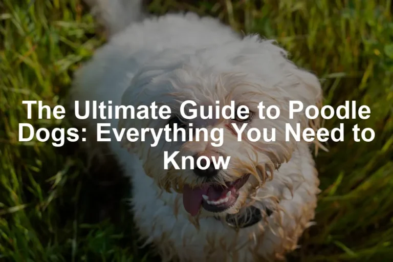 Featured image for The Ultimate Guide to Poodle Dogs: Everything You Need to Know