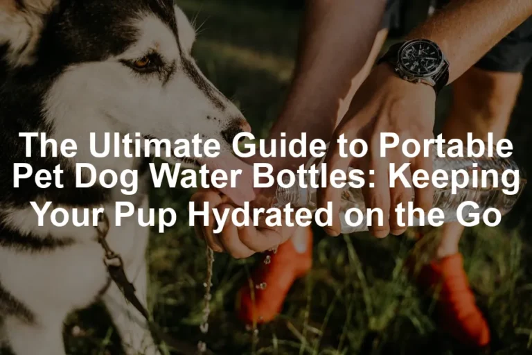 Featured image for The Ultimate Guide to Portable Pet Dog Water Bottles: Keeping Your Pup Hydrated on the Go