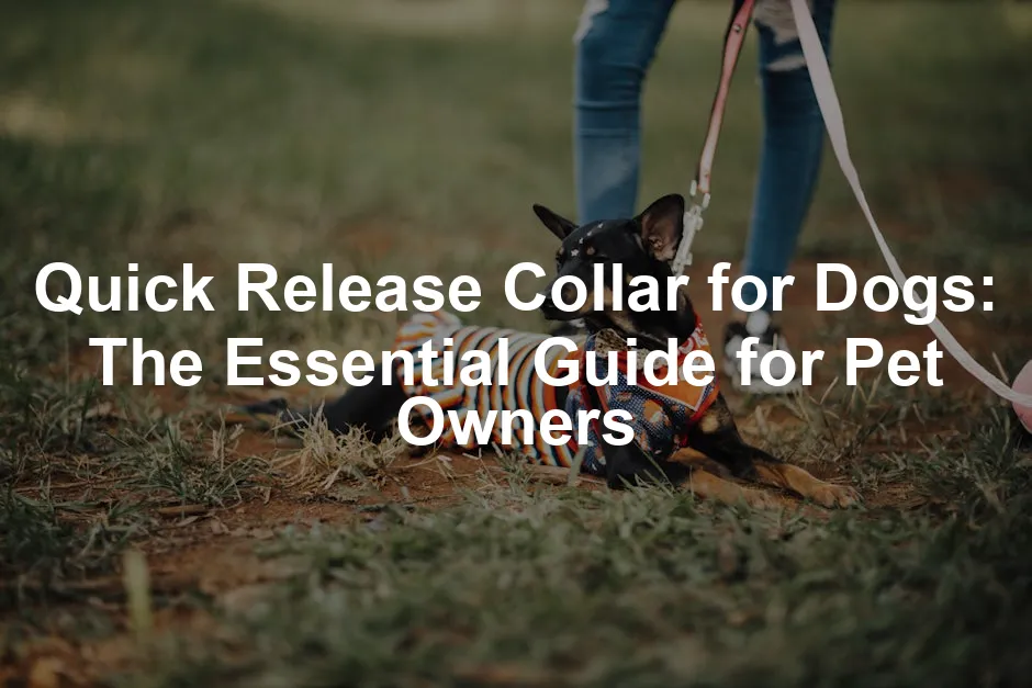 Featured image for Quick Release Collar for Dogs: The Essential Guide for Pet Owners