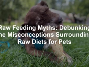 Featured image for Raw Feeding Myths: Debunking the Misconceptions Surrounding Raw Diets for Pets