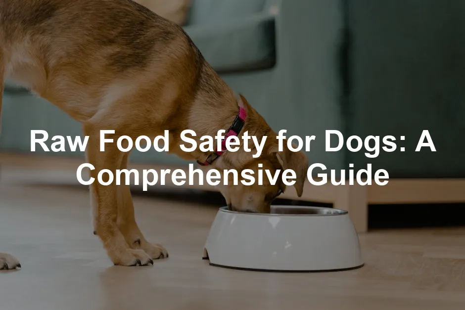 Featured image for Raw Food Safety for Dogs: A Comprehensive Guide