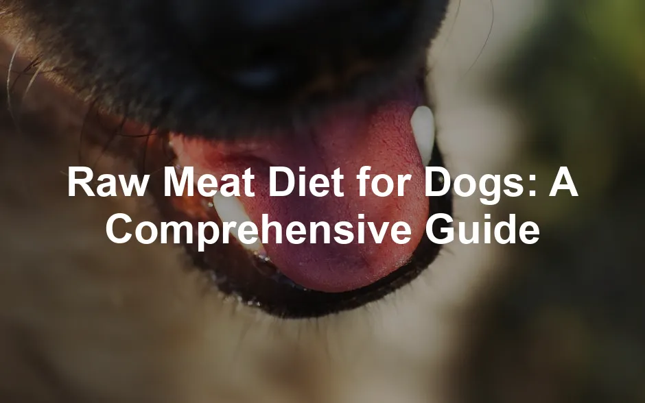 Featured image for Raw Meat Diet for Dogs: A Comprehensive Guide