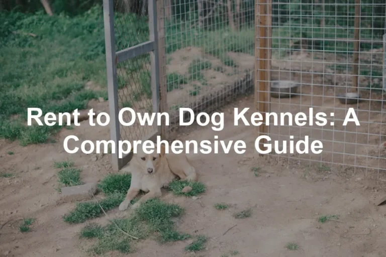 Featured image for Rent to Own Dog Kennels: A Comprehensive Guide