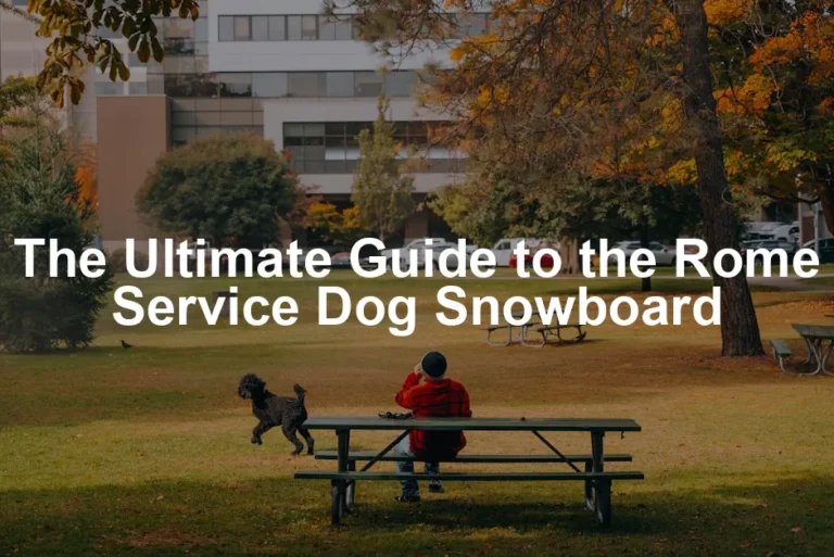 Featured image for The Ultimate Guide to the Rome Service Dog Snowboard