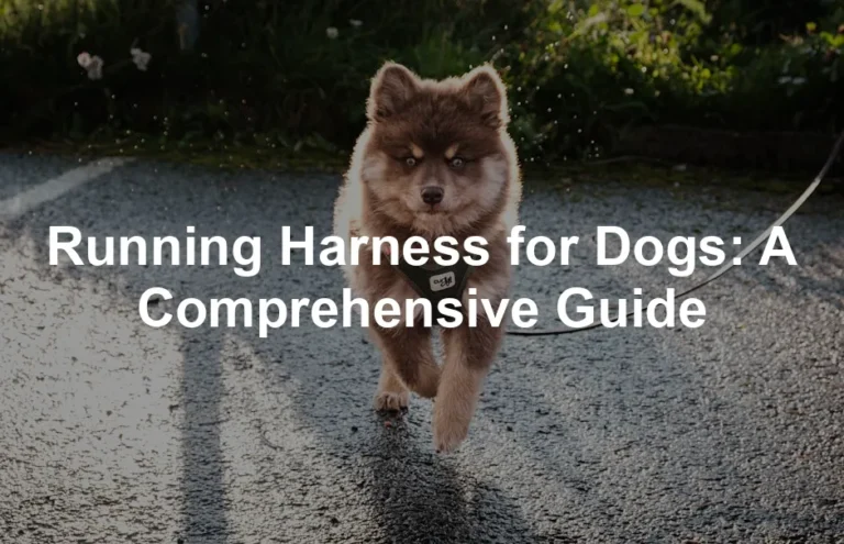 Featured image for Running Harness for Dogs: A Comprehensive Guide