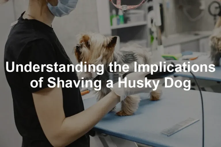 Featured image for Understanding the Implications of Shaving a Husky Dog