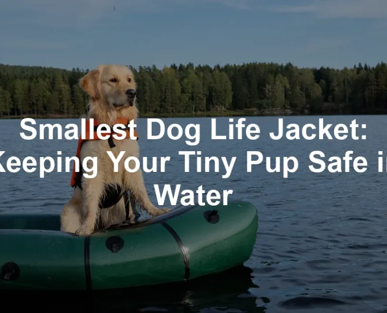 Featured image for Smallest Dog Life Jacket: Keeping Your Tiny Pup Safe in Water