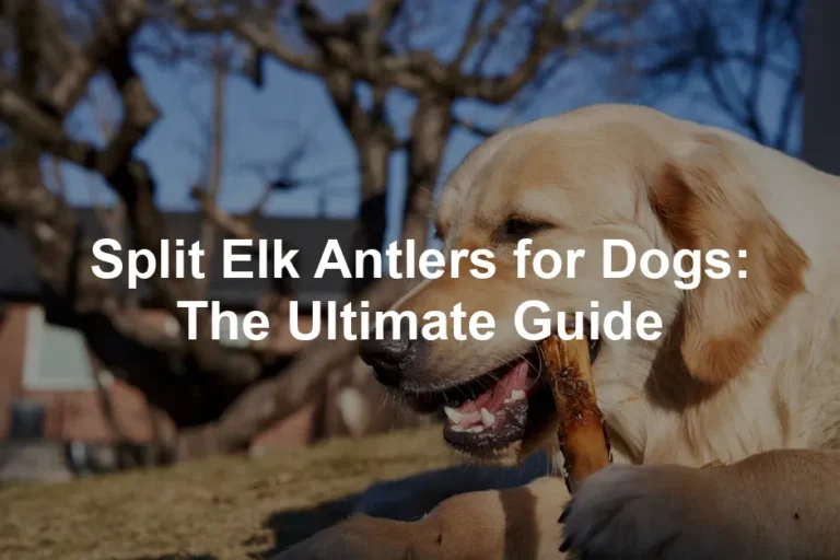 Featured image for Split Elk Antlers for Dogs: The Ultimate Guide