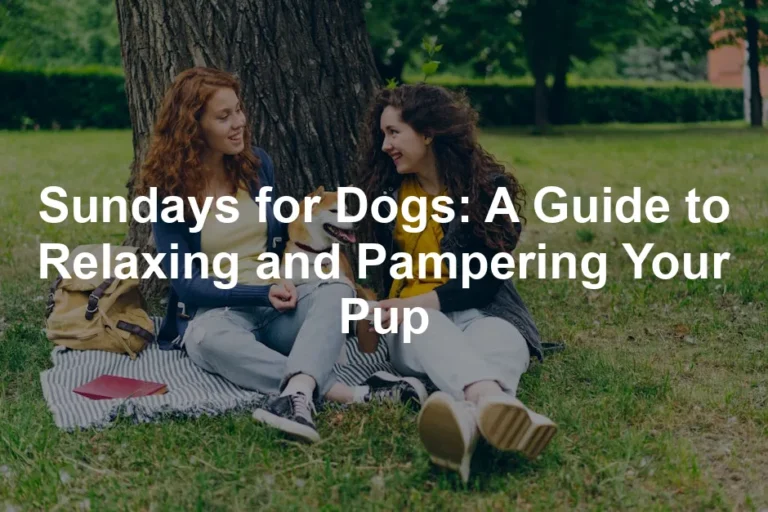 Featured image for Sundays for Dogs: A Guide to Relaxing and Pampering Your Pup