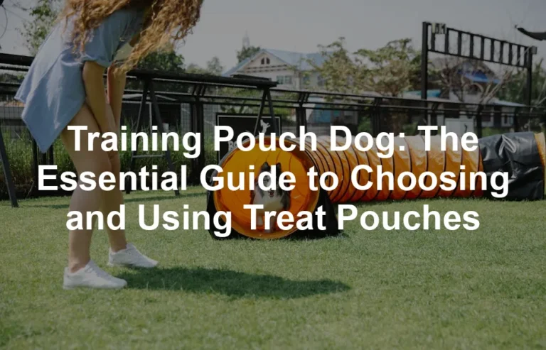 Featured image for Training Pouch Dog: The Essential Guide to Choosing and Using Treat Pouches