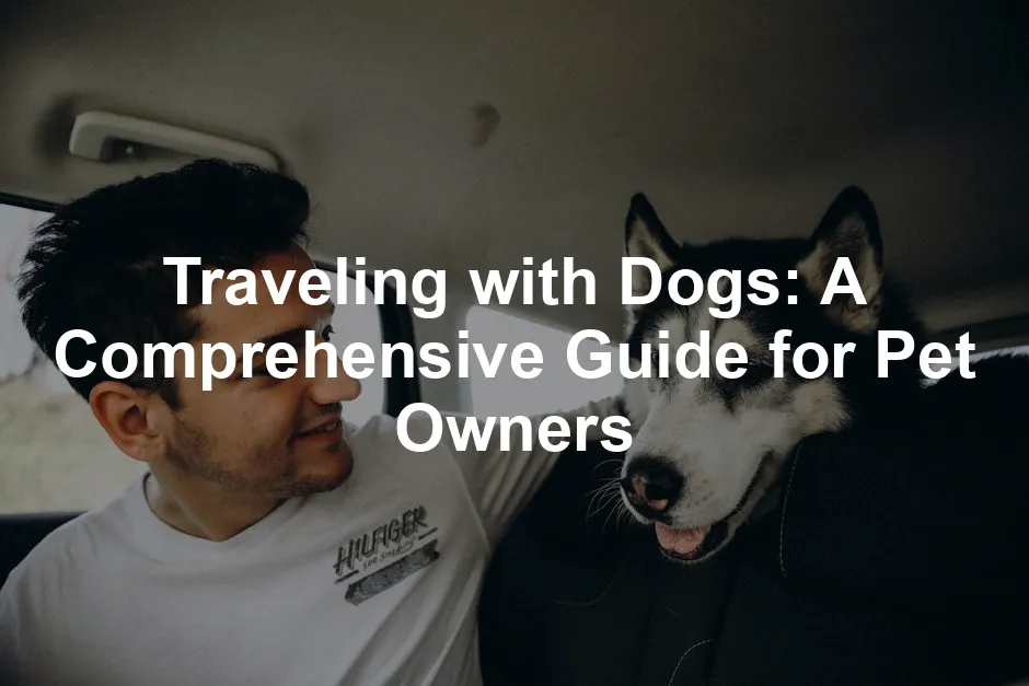 Featured image for Traveling with Dogs: A Comprehensive Guide for Pet Owners
