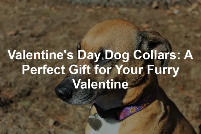 Featured image for Valentine's Day Dog Collars: A Perfect Gift for Your Furry Valentine