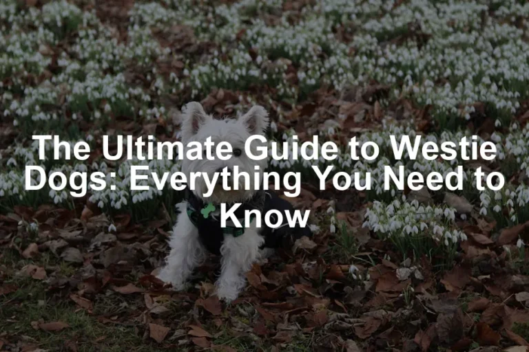 Featured image for The Ultimate Guide to Westie Dogs: Everything You Need to Know