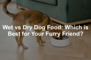 Featured image for Wet vs Dry Dog Food: Which is Best for Your Furry Friend?