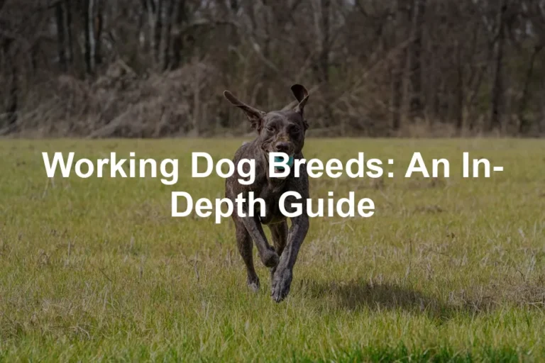 Featured image for Working Dog Breeds: An In-Depth Guide